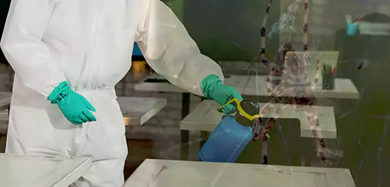 Why Buyers Still Want Homes With Pest Infestations in Huntsville, AL?