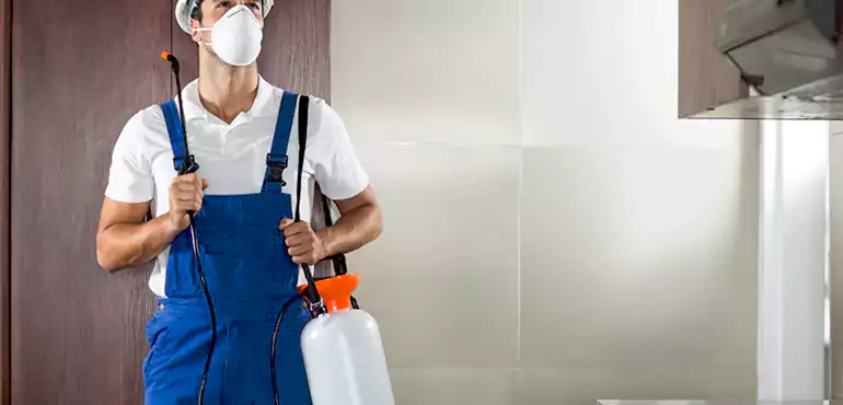 Why Huntsville Homeowners Choose Us When Pests Make Selling Difficult